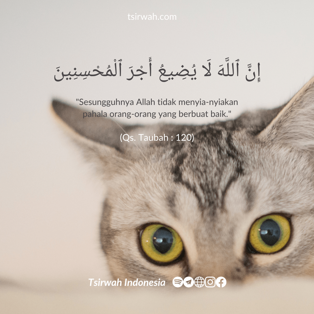 ayat-motivasi_20250407_223254_0000-min